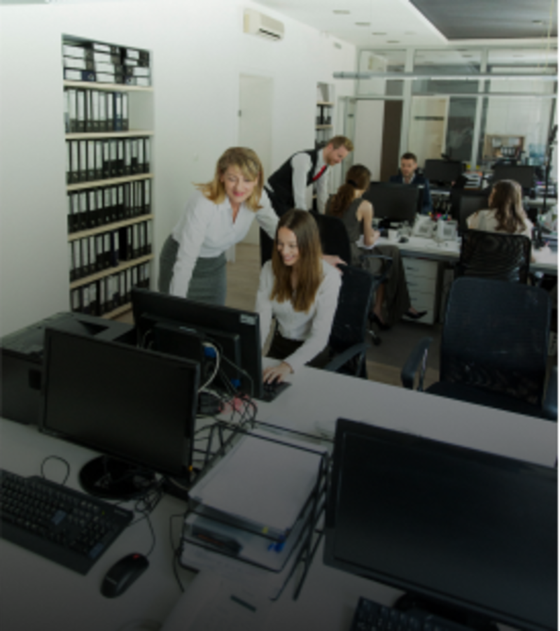 Organisations with 50 - 249 employees 