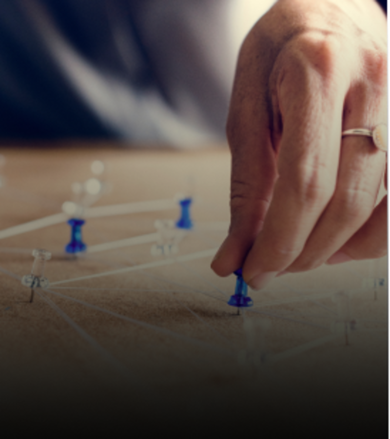 Growing businesses that want a capability-based approach to recruitment and development