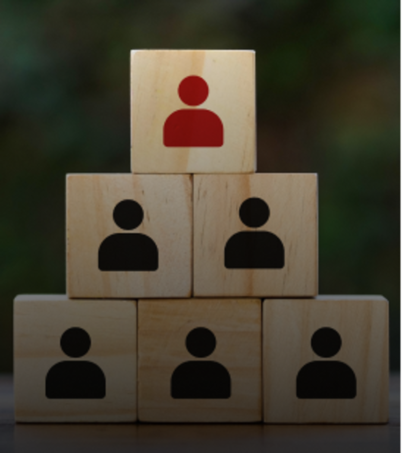 Larger organisations or SMEs with over 500 employees