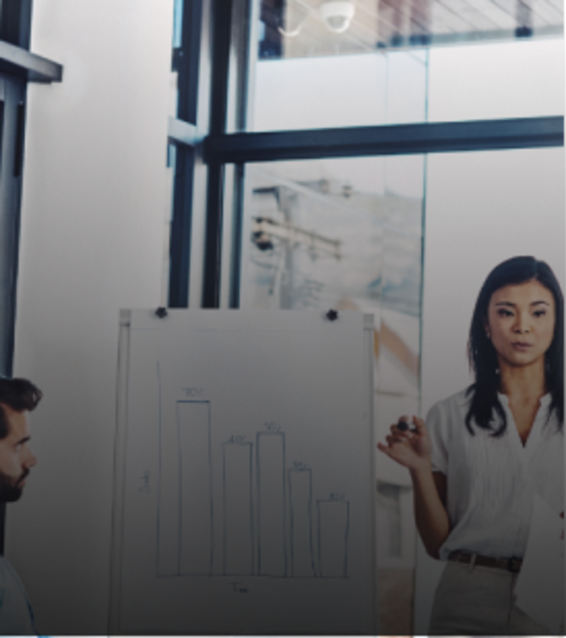 Businesses wanting to adopt a strategic, organisation-wide capability framework